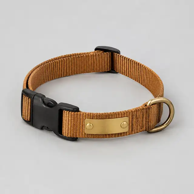 Dog Collar with Engravable Plate - full view