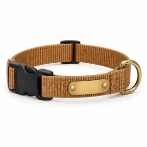 Dog Collar with Engravable Plate - product photo